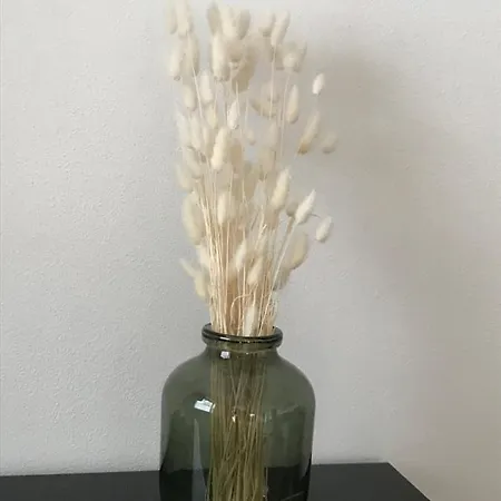 Ferienwohnung Mit Garten Und Ausblick Windorf (Passau)